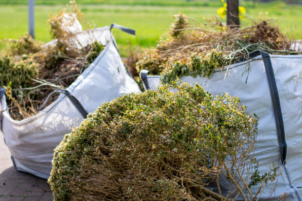Best Yard Cleanup Services  in Villa Rica, GA